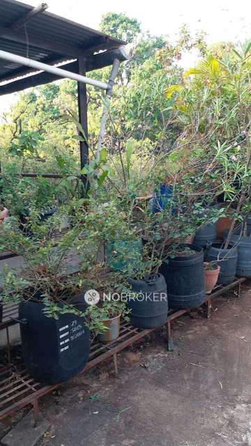 2 BHK Flat In Mandar Apartments For Sale  In Budhwar Peth