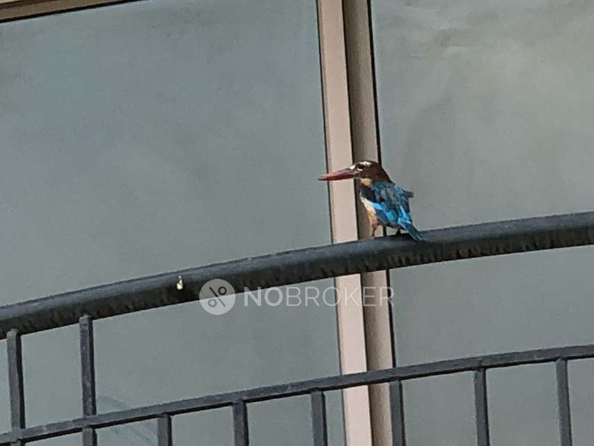 4 BHK Flat In Nbcc Heights,  Sector 89, Gurgaon For Sale  In  Sector 89, Gurgaon