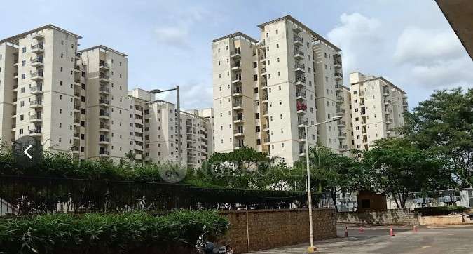 2 BHK Flat In Dlf Woodland Heights for Rent  In  Bommasandra