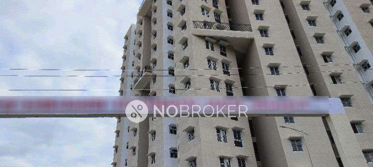 1 BHK Flat In Rgrhcl Apartment for Rent  In Rampura