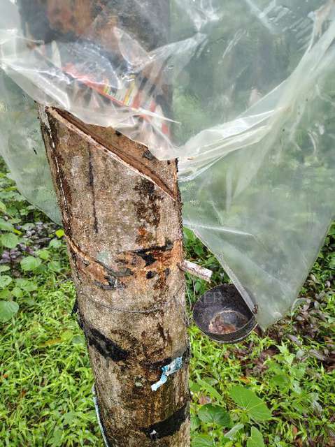 Plot For Sale  In 34, Kattur Sadayappanstreet, Periamet, Poongavanapuram, Chennai, Tamil Nadu 600003, India