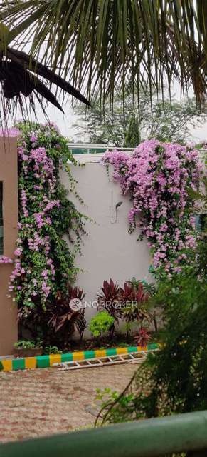 3 BHK Flat In Manjri Greens, Phase-ii, Manjri Greens Society for Rent  In Manjri Greens Society