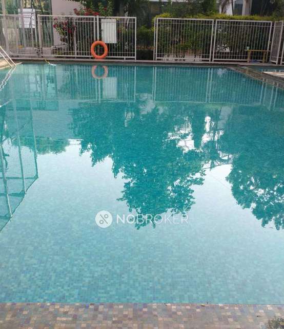 3 BHK Flat In Manjri Greens, Phase-ii, Manjri Greens Society for Rent  In Manjri Greens Society