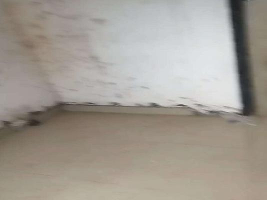1 BHK Flat In Apartment For Sale  In Guruwar Peth