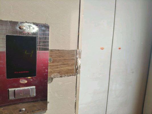 2 BHK Flat In Bharat Nagar Gandhi Park For Sale  In Bharat Nagar