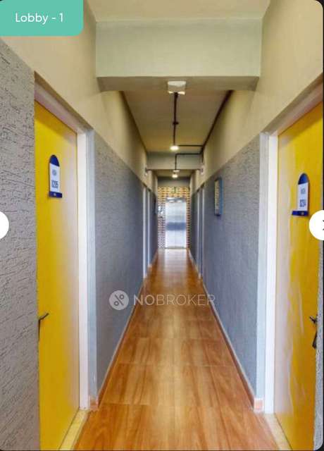 PG for Anyone in Hinjewadi