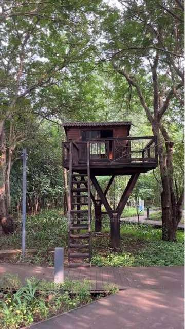 1 BHK Flat In Lodha Amara For Sale  In Thane