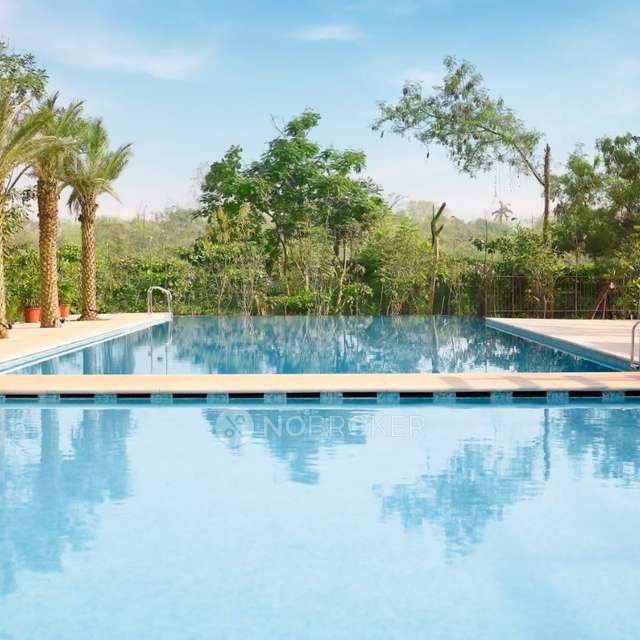 1 BHK Flat In Lodha Amara For Sale  In Thane