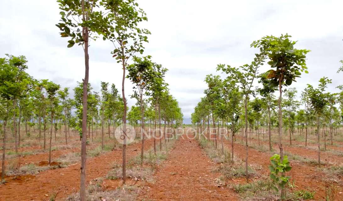 Plot For Sale  In Red Sandal Farm Land In Mogappair