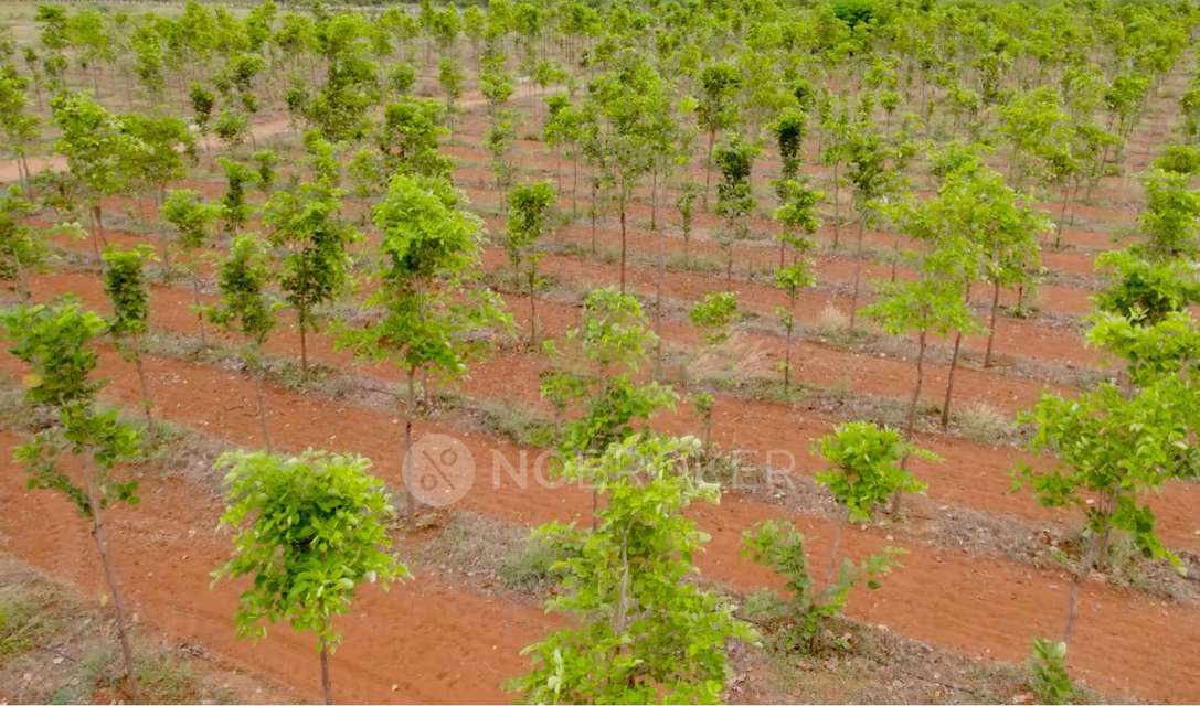 Plot For Sale  In Red Sandal Farm Land In Mogappair