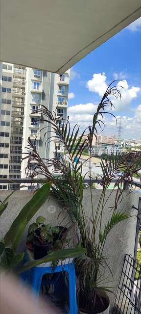 2 BHK Flat In Godrej Air For Sale  In Hoodi