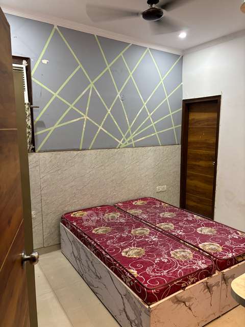 PG for Anyone in Sector 38