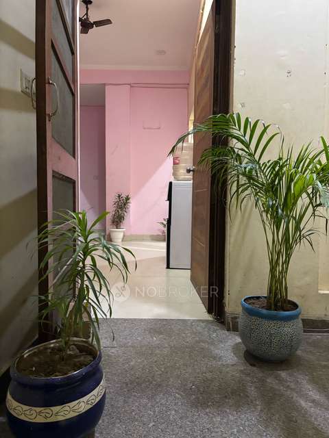 PG for Anyone in Sector 38