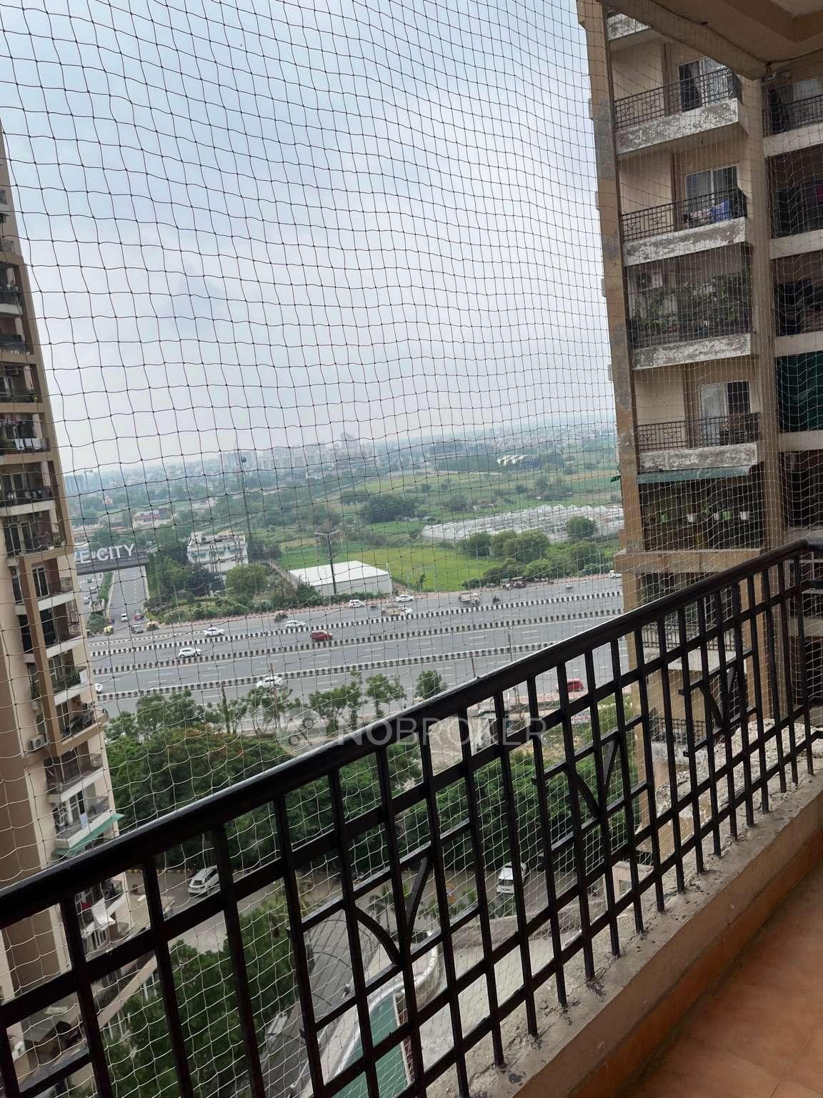 Savfab Jasmine Grove