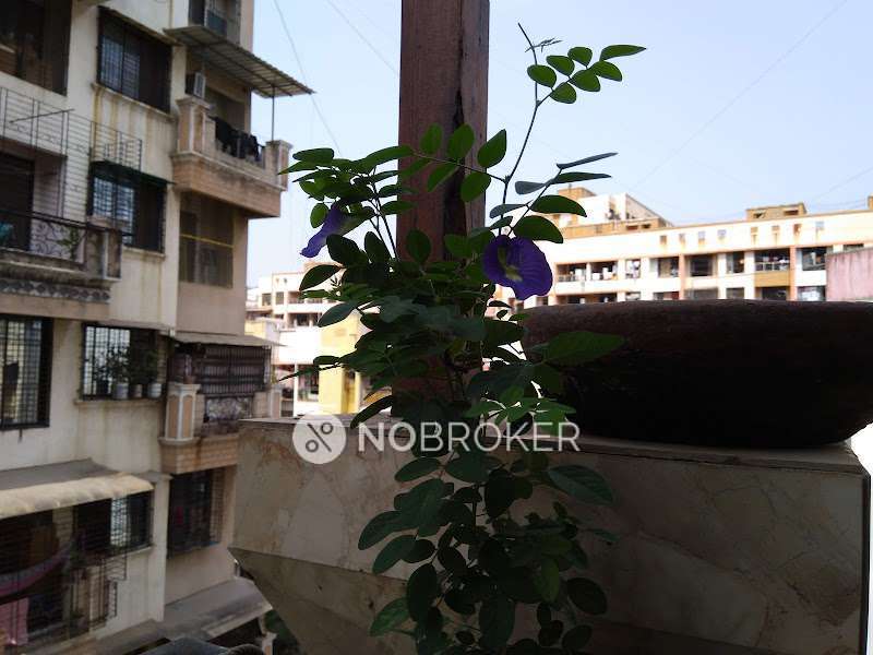 2 BHK Flat In Mangeshi Srushti Phase-ii for Rent  In  Khadakpada