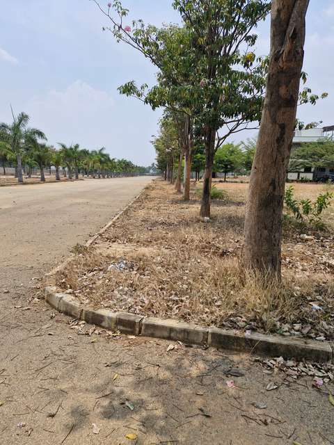 Plot For Sale  In Oasis  In Sarjapura