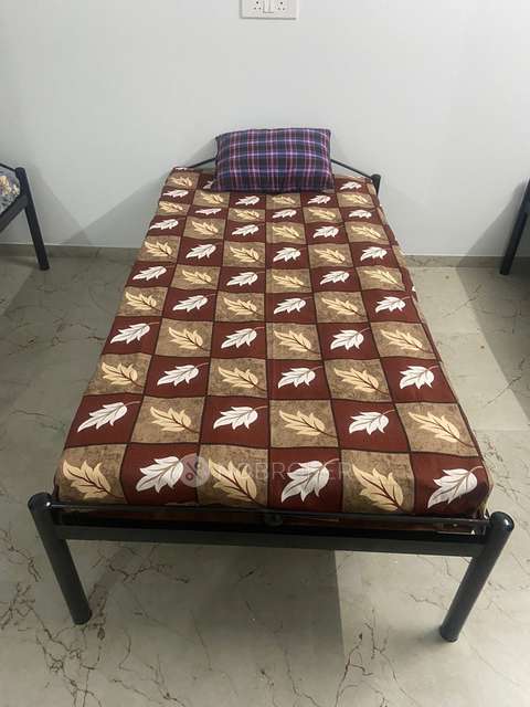 PG for Boys in Kantidhan Society