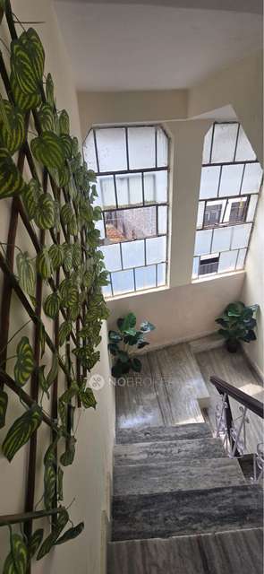 PG for Girls in Gtb Nagar