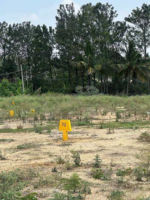 Plot For Sale  In Ragam Gardens In Begur