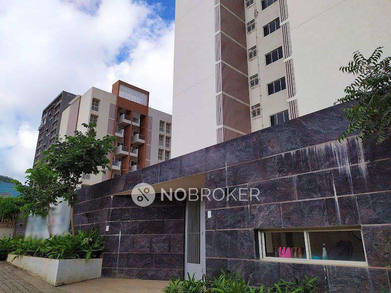 1 BHK Flat In Kohinoor Tinsel County For Sale  In Hinjewadi