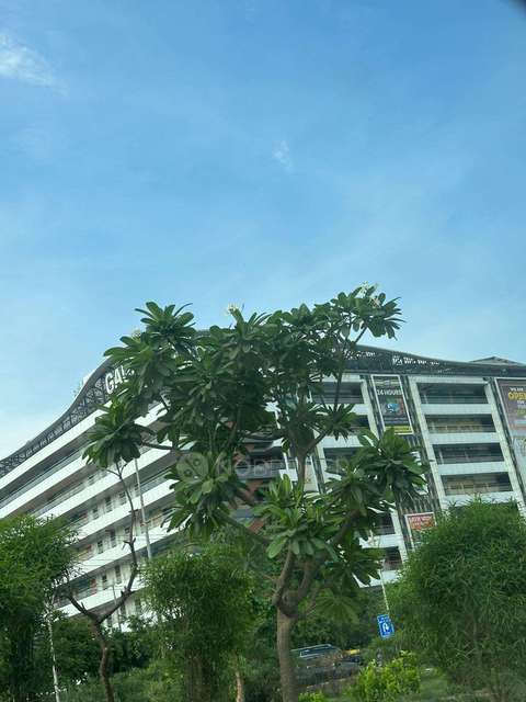 Shop in Salarpur, Noida for sale 