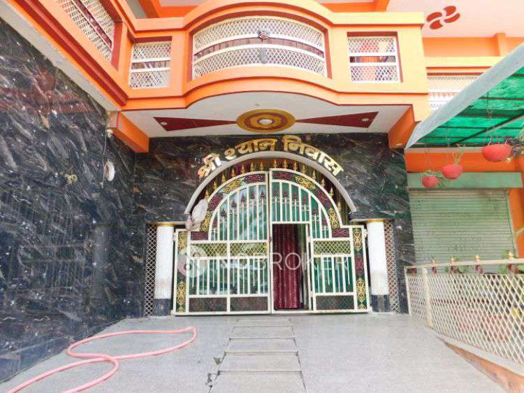 PG for Anyone in Sector 135