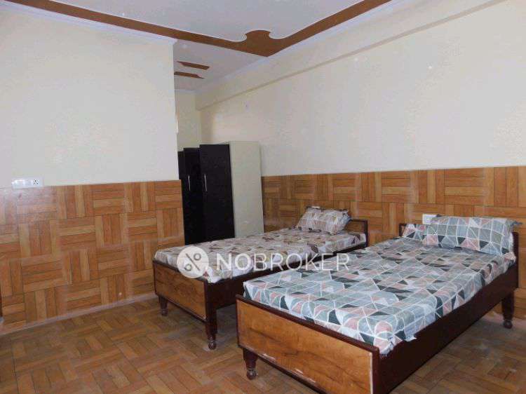 PG for Anyone in Sector 135