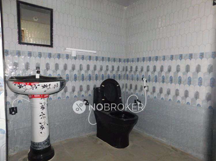 PG for Anyone in Sector 135