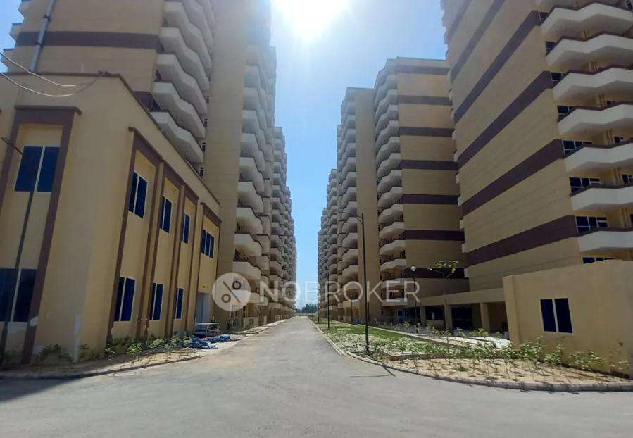 Shared Room for  In 2 BHK  In Piramid Urban Homes  In Sector 67