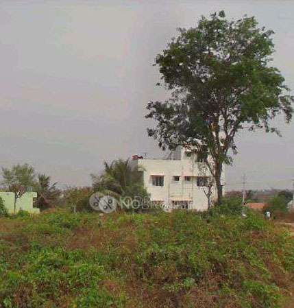 Plot For Sale  In Sln City In Ajjanahalli Village
