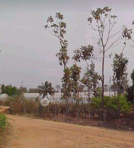 Plot For Sale  In Sln City In Ajjanahalli Village