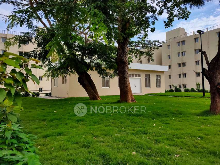 1 BHK Flat In Janaranjani  for Rent  In Nanded