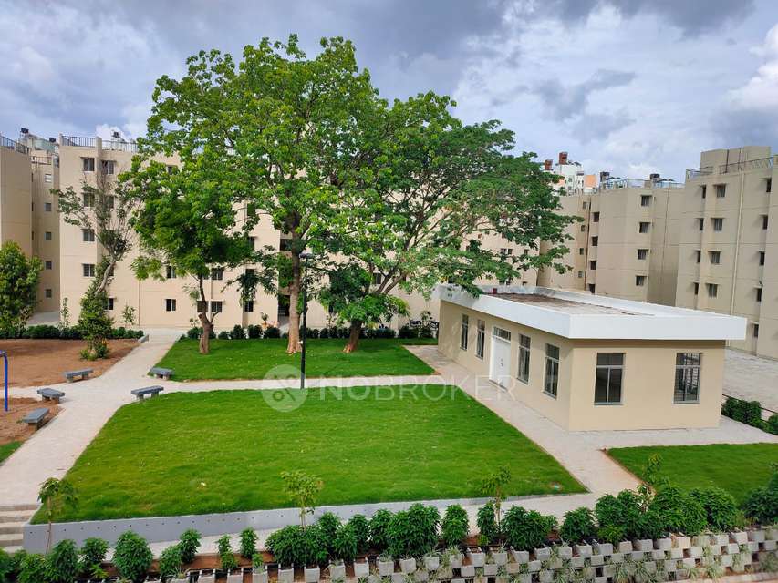 1 BHK Flat In Janaranjani  for Rent  In Nanded