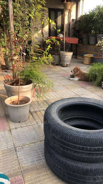 4+ BHK Flat In Apartment  For Sale  In Chhatarpur 