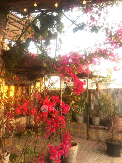 4+ BHK Flat In Apartment  For Sale  In Chhatarpur 