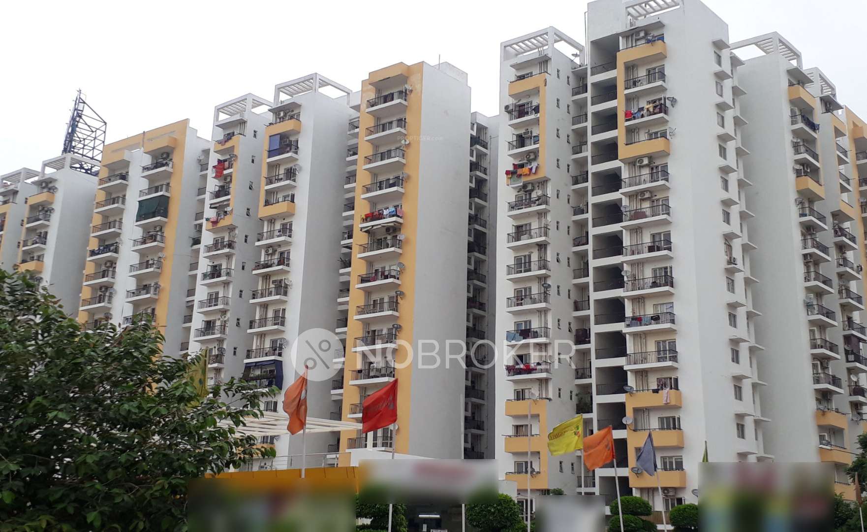 1 BHK Flat In Panchsheel Greens 1 For Sale  In Sector 16b