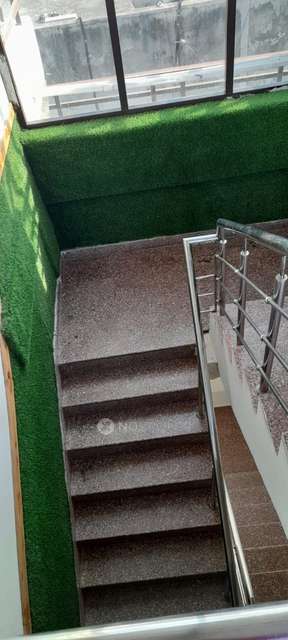 PG for Boys in Sector 69