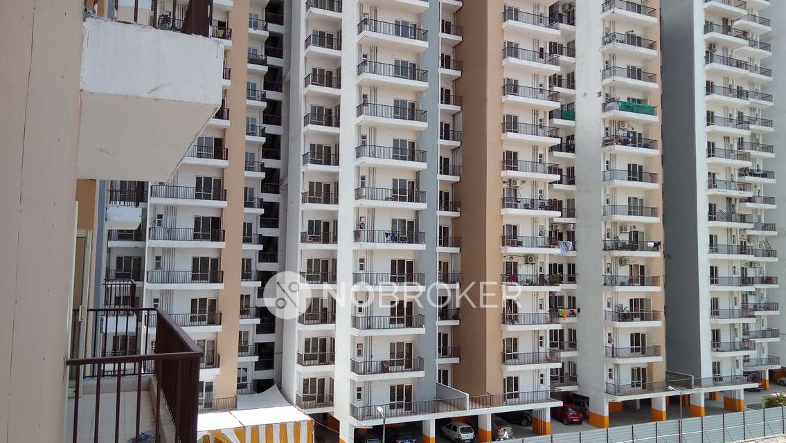 3 BHK Flat In Panchsheel Greens 2 for Rent  In Sector 16b 