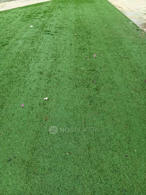 3 BHK Flat In Avon Vista,  for Rent  In Balewadi