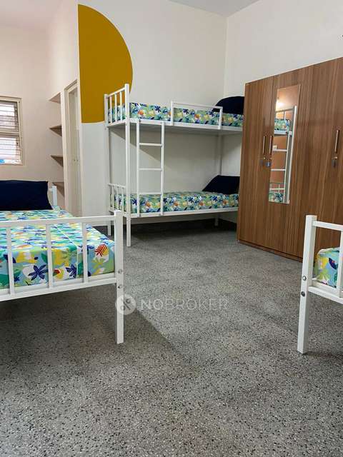 PG for Anyone in Shanthala Nagar,