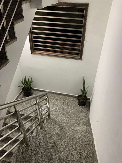 PG for Boys in Shakti Nagar