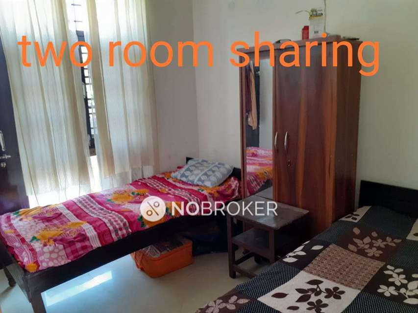 PG for Anyone in Sector 135