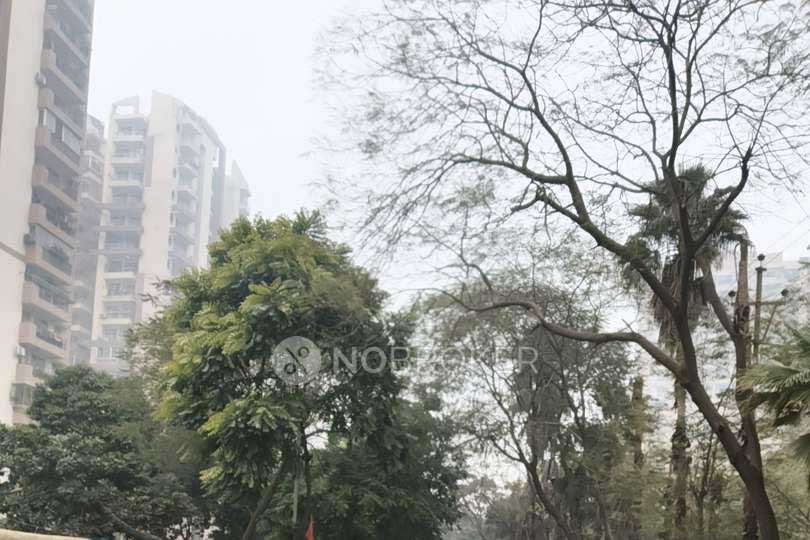 2 BHK Flat In Apex Splendour For Sale  In Amrapali Dream Valley