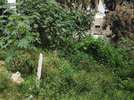 Plot For Sale  In Nisarga Orchid Layout In Nagarbhavi