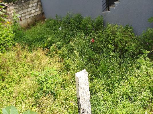 Plot For Sale  In Nisarga Orchid Layout In Nagarbhavi