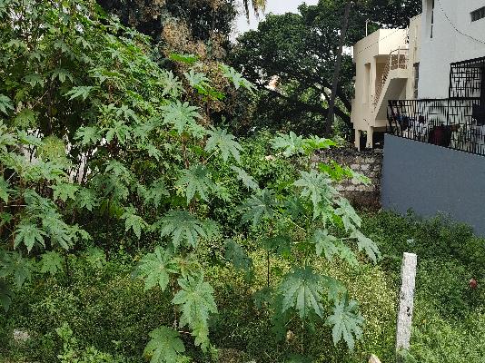 Plot For Sale  In Nisarga Orchid Layout In Nagarbhavi