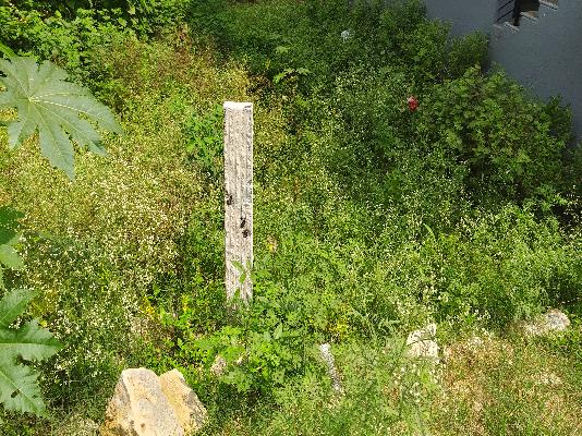 Plot For Sale  In Nisarga Orchid Layout In Nagarbhavi