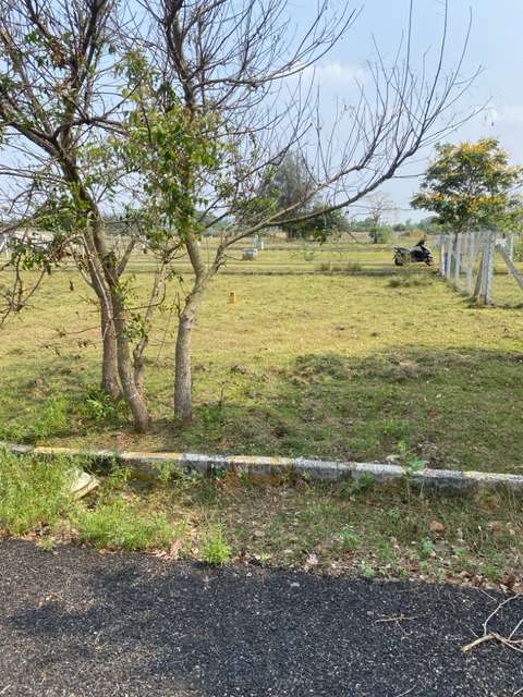 Plot For Sale  In New Chennai City  In Nellikuppam