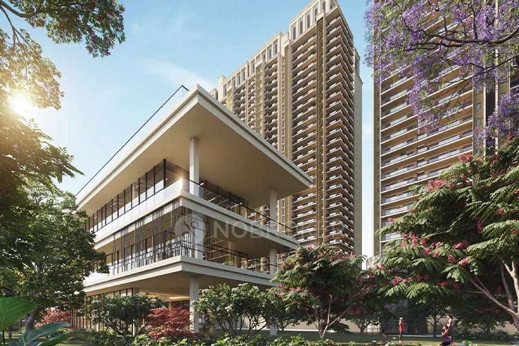 3 BHK Flat In Sector-49 Gurgaon, Sector 49 For Sale  In Sector 49