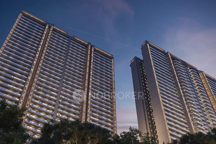 3 BHK Flat In Sector-49 Gurgaon, Sector 49 For Sale  In Sector 49